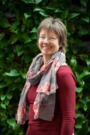 Rini Eringfeld
